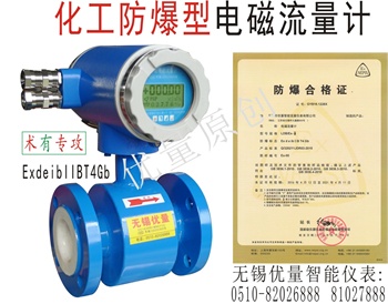 化工防爆型電磁流量計(jì)